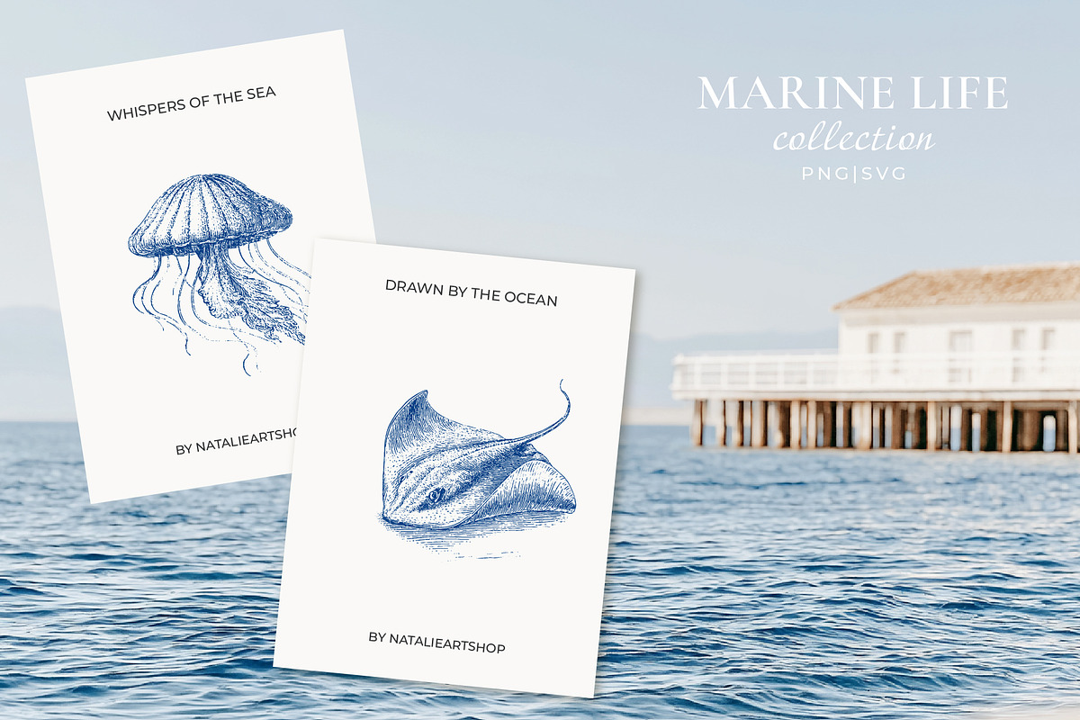 Vintage Marine Life Illustration Set, an Animal Illustration by NatalieArtShop (Photo 5 of 20)