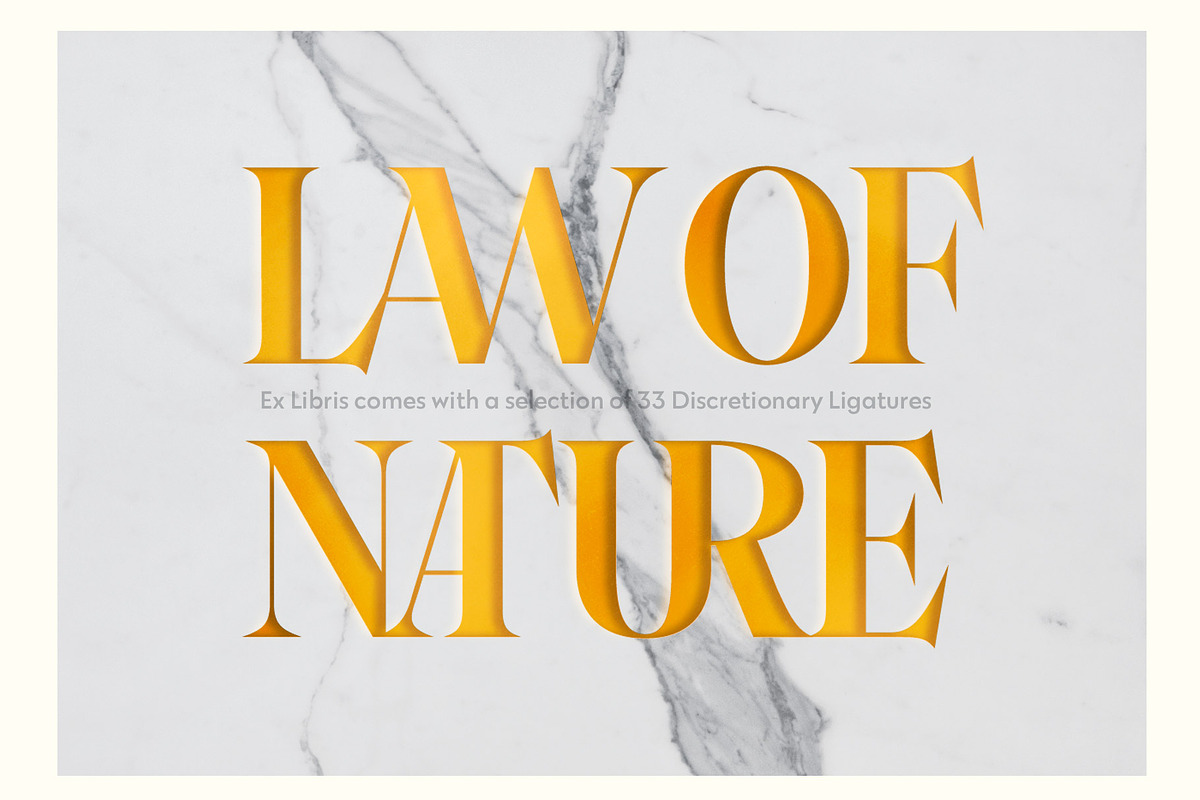 Ex Libris Flared Serif, a Serif Font by Fenotype (Photo 10 of 11)