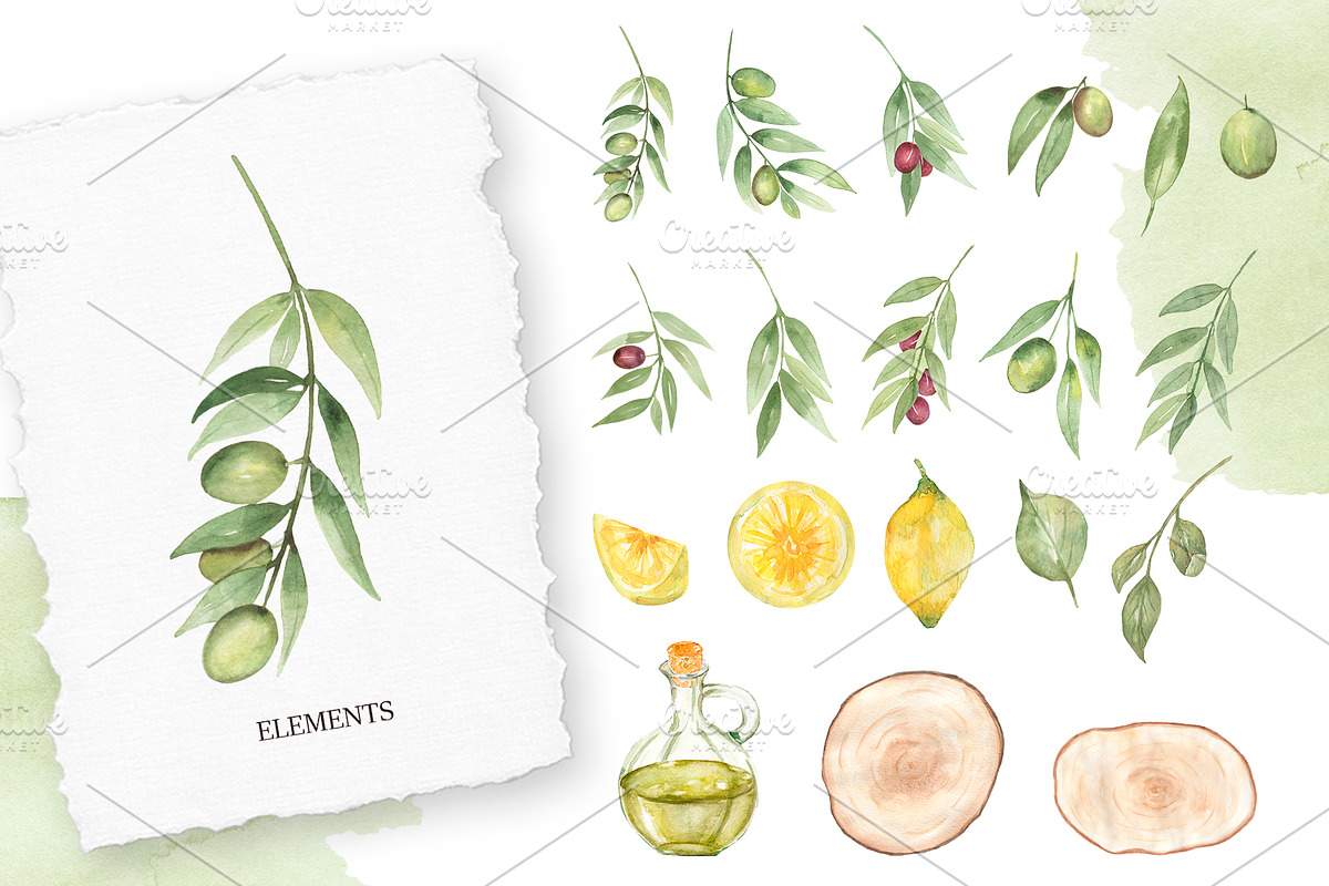 Watercolor Olive Collection, a Decorative Illustration by MayaNavits (Photo 2 of 10)