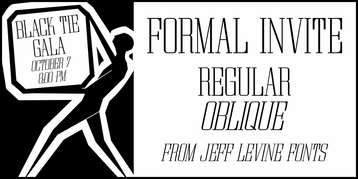 Formal Invite JNL, a Serif Font by Jeff Levine Fonts (Photo 1 of 5)
