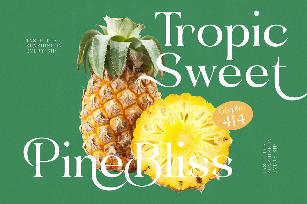 Blush Honey Modern Serif Font, a Serif Font by timelesstype.co (Photo 8 of 20)