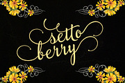 Aslang Barry, a Script Font by groens (Thumbnail 2 of 5)