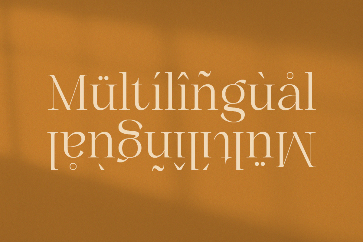 Caster Modern Chic Serif, a Serif Font by Eternity Studio (Photo 10 of 10)