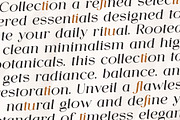 Mervola - Minimalist Serif Font, a Serif Font by GridlineType (Thumbnail 8 of 10)