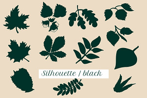 Leaves Stamps For Procreate. Foliage