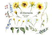 Sunflowers & Wildflowers Clip Art, an Illustration by Graphic Blue Bird (Thumbnail 3 of 8)