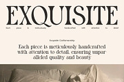 Molyn Modern Serif Font, a Serif Font by Perfectype (Thumbnail 7 of 8)