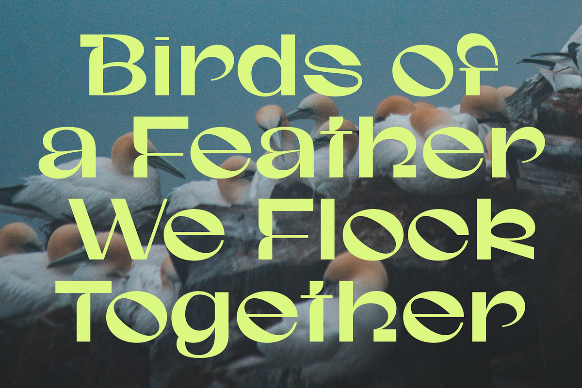 Gunter Display Font, a Sans Serif Font by That That Creative (Photo 12 of 20)