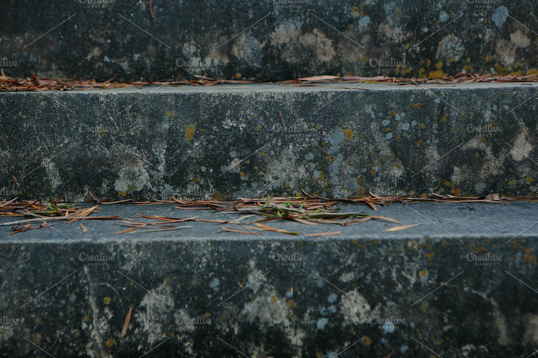 Aging Steps