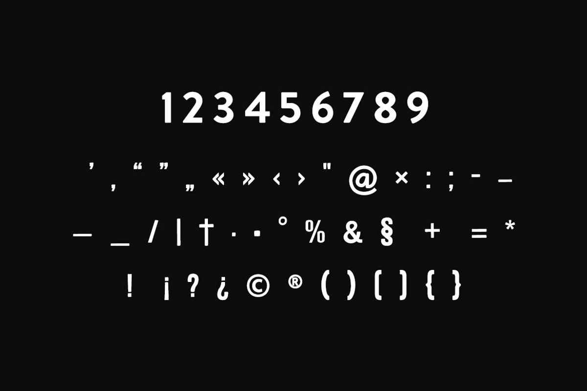 Country Wood Rustic Elegant Font, a Sans Serif Font by UICreative (Photo 3 of 13)