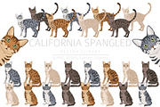 California Spangled Cat clipart set, an Animal Illustration by pet design shop (Thumbnail 1 of 6)