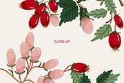 Rosehip Elegant Romantic Pattern, a Pattern Graphic by Mariia Kovalchuk (Thumbnail 12 of 13)