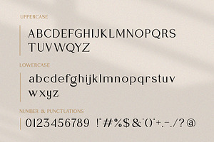 Vocago Serif Font