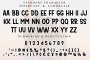 Shine Sunday, a Script Font by InermediaSTUDIO (Thumbnail 6 of 8)