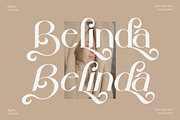 Belinda Modern Serif Font, a Serif Font by Storytype Studio (Thumbnail 2 of 15)