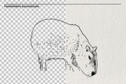 Sketches of capybara animals in PNG, an Animal Illustration by LOKSKIH (Thumbnail 2 of 4)