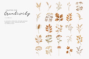 autumn botanical clipart collection, a Decorative Illustration by Patishop Art (Thumbnail 9 of 9)