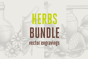Herbs Bundle engravings, a Food Illustration by Irina Trusova