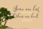 Soganest Script, a Script Font by Solidtype (Thumbnail 4 of 5)