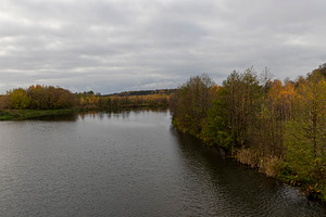trees with yellow and orange foliage on the shore of a lake or river, side view, a Photo by rsoollAI