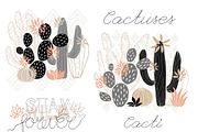 PASTEL Cactuses & Succulents BIG Set, a Decorative Illustration by Iraida_Bearlala (Thumbnail 7 of 13)