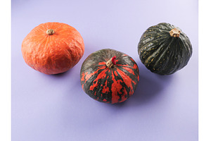 Three colorful pumpkins on purple