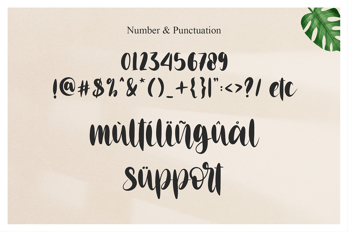 Anglina Farmhouse, a Script Font by Letterara (Photo 5 of 6)