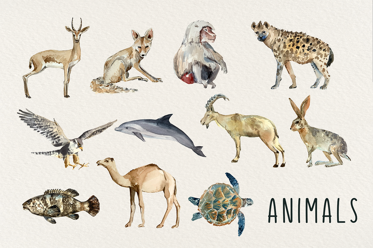 Watercolor Saudi Arabia Clip Arts, an Animal Illustration by Tati Bordiu (Photo 2 of 5)