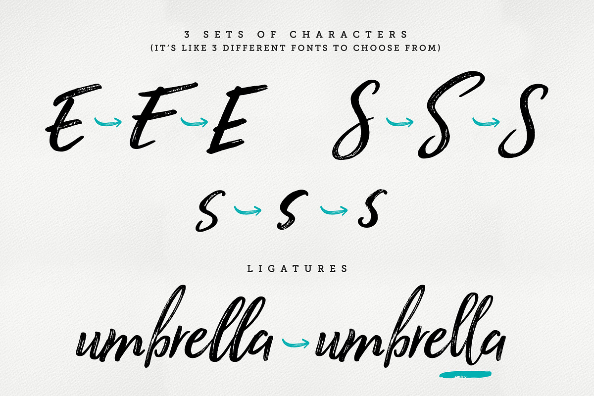 Black Star : 3 Sets + Sans, a Script Font by Rad Fonts (Photo 12 of 14)