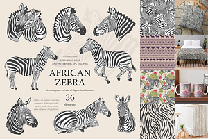 African zebras clipart, Safari Jungl