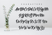 Modern Calligraphy - Ayunda Script, a Script Font by Debut Studio (Thumbnail 8 of 10)