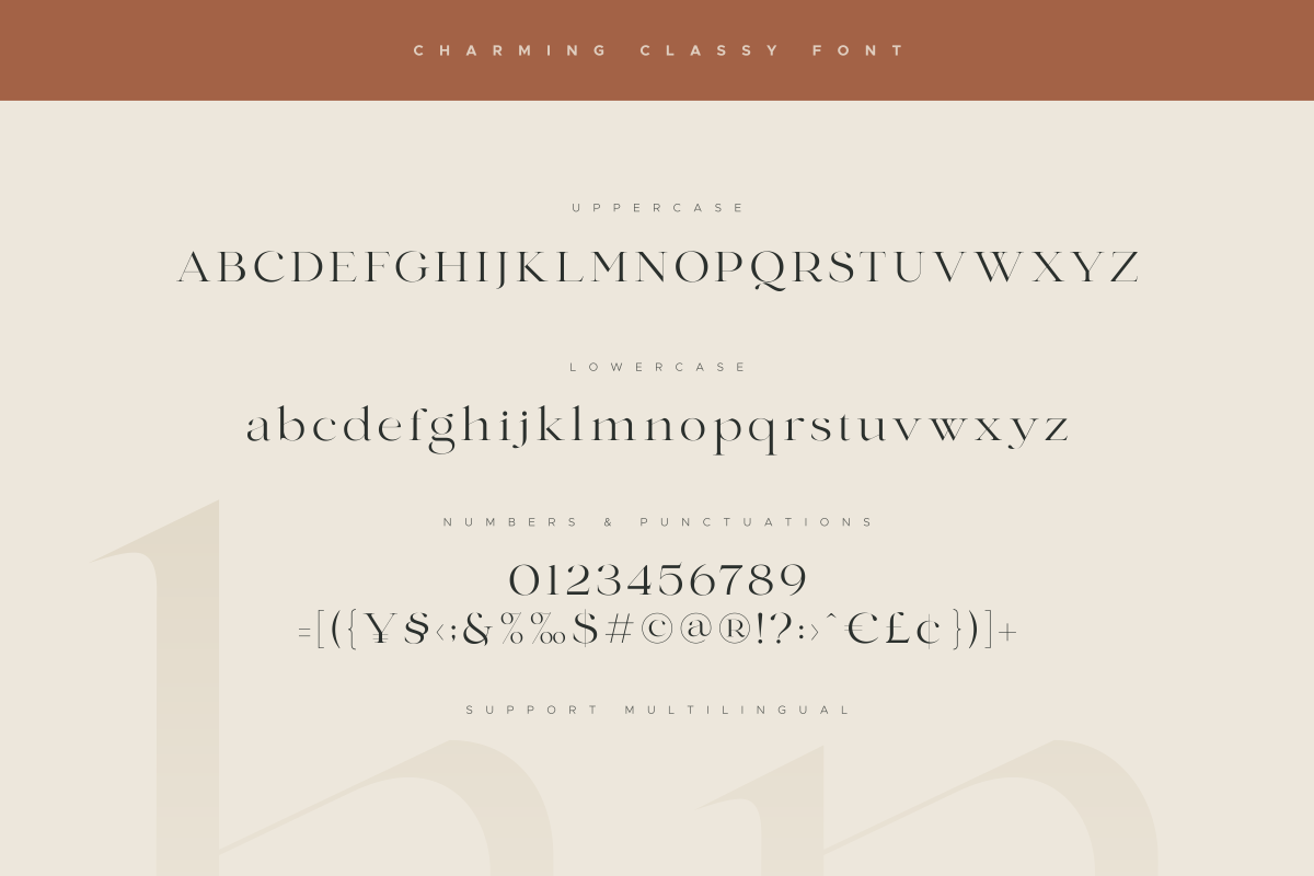 Charming - Classy & Decorative Font, a Serif Font by Sensatype (Photo 12 of 21)