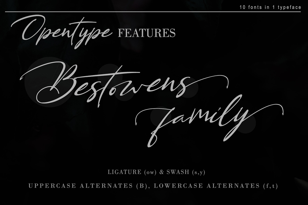 Bestowens Family, a Script Font by Letterara (Photo 4 of 16)