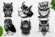 Wild owls. 22 graphic illustrations, an Illustration by AnastasiyaOleynik (Thumbnail 2 of 4)