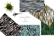 Zebra Patterns | 14 Prints Design, a Pattern Graphic by Luiz da Rolt Grathwohl (Thumbnail 8 of 10)