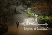 Ballenotty, a Handwritten Font by Integritype Studio (Thumbnail 8 of 15)