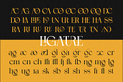 Rudgen - Modern Elegant Serif Font, a Serif Font by Qweera Studio (Thumbnail 11 of 12)