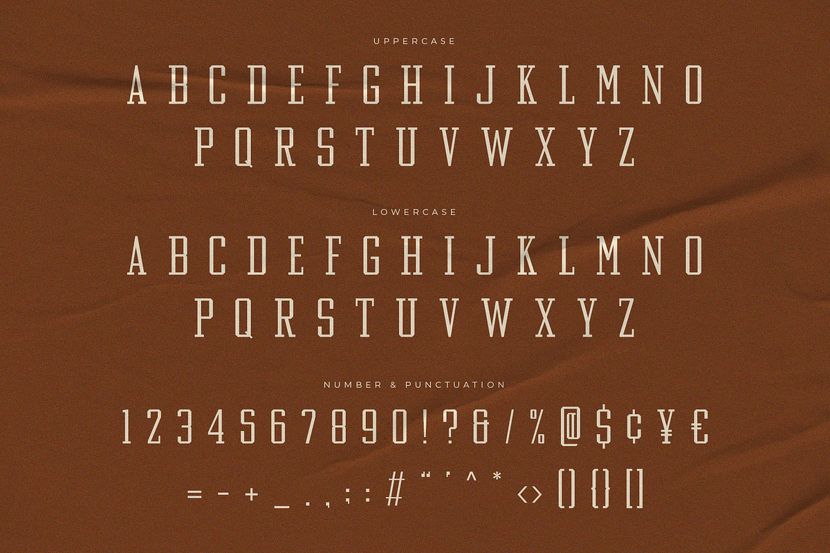 Quickly — Variable Slab Serif Font, a Slab Serif Font by Almeera Std (Photo 9 of 9)