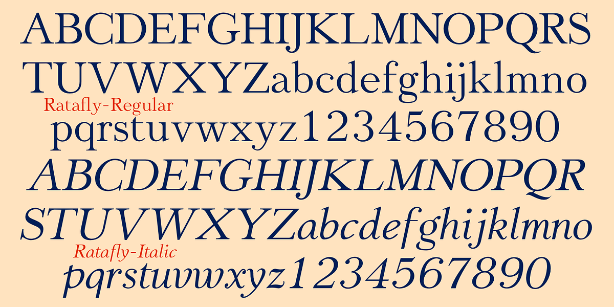 JasperSqueeze, a Serif Font by Ingrimayne Type (Photo 8 of 9)