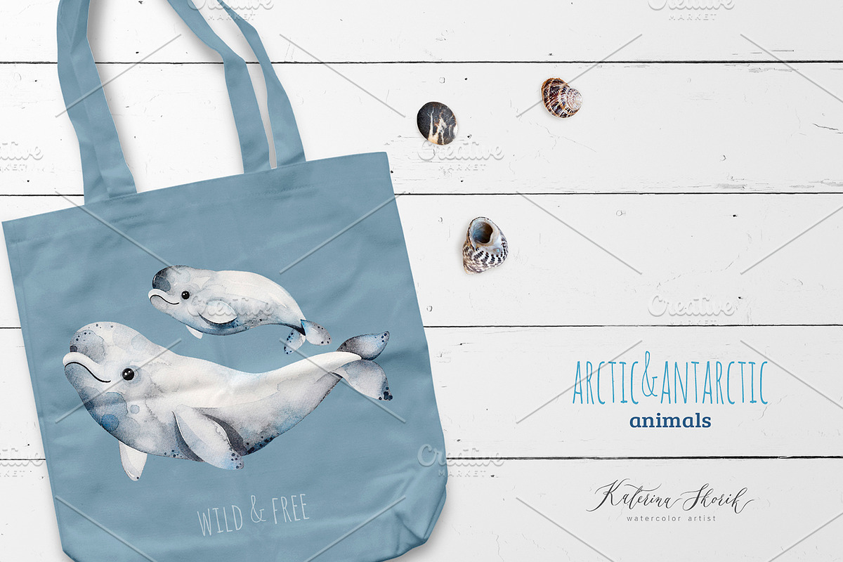 Arctic&Antarctic animals, an Animal Illustration by Kate_Rina (Photo 4 of 4)
