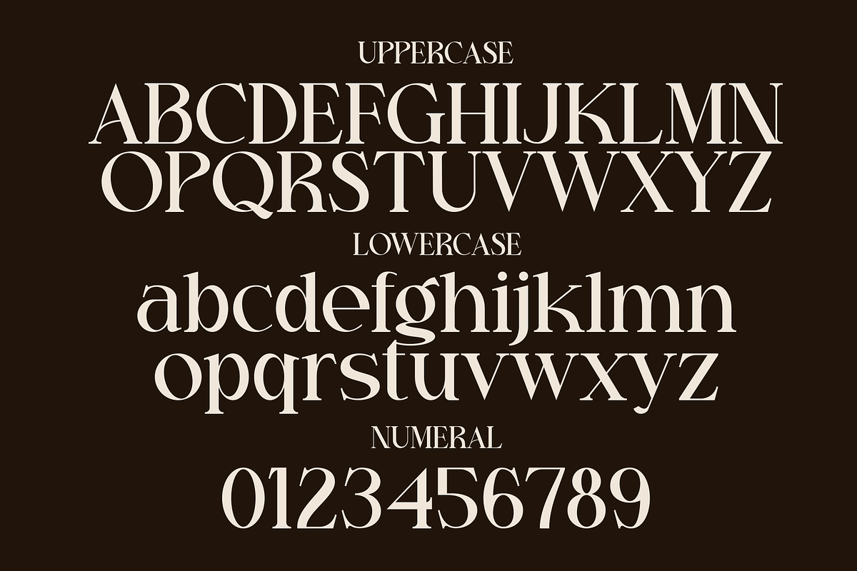 Prole Derose Font, a Serif Font by Marvadesign (Photo 2 of 7)