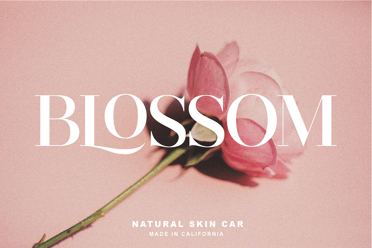 Deroma Slab, a Serif Font by Yahya Type (Photo 11 of 14)
