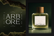 GC Volumn - Elegant Serif Typeface, a Serif Font by Glyphonic (Thumbnail 11 of 15)