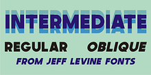 Intermediate JNL