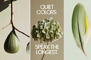Cool nature | 325 stock photos, a Background Photo by Tale.Haus (Thumbnail 18 of 19)