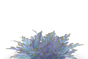 Selaginella V3, an Environmental 3D Model by AndrewWhite (Thumbnail 8 of 9)