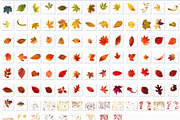 100 Leaves Photo Overlays PNG preview 6