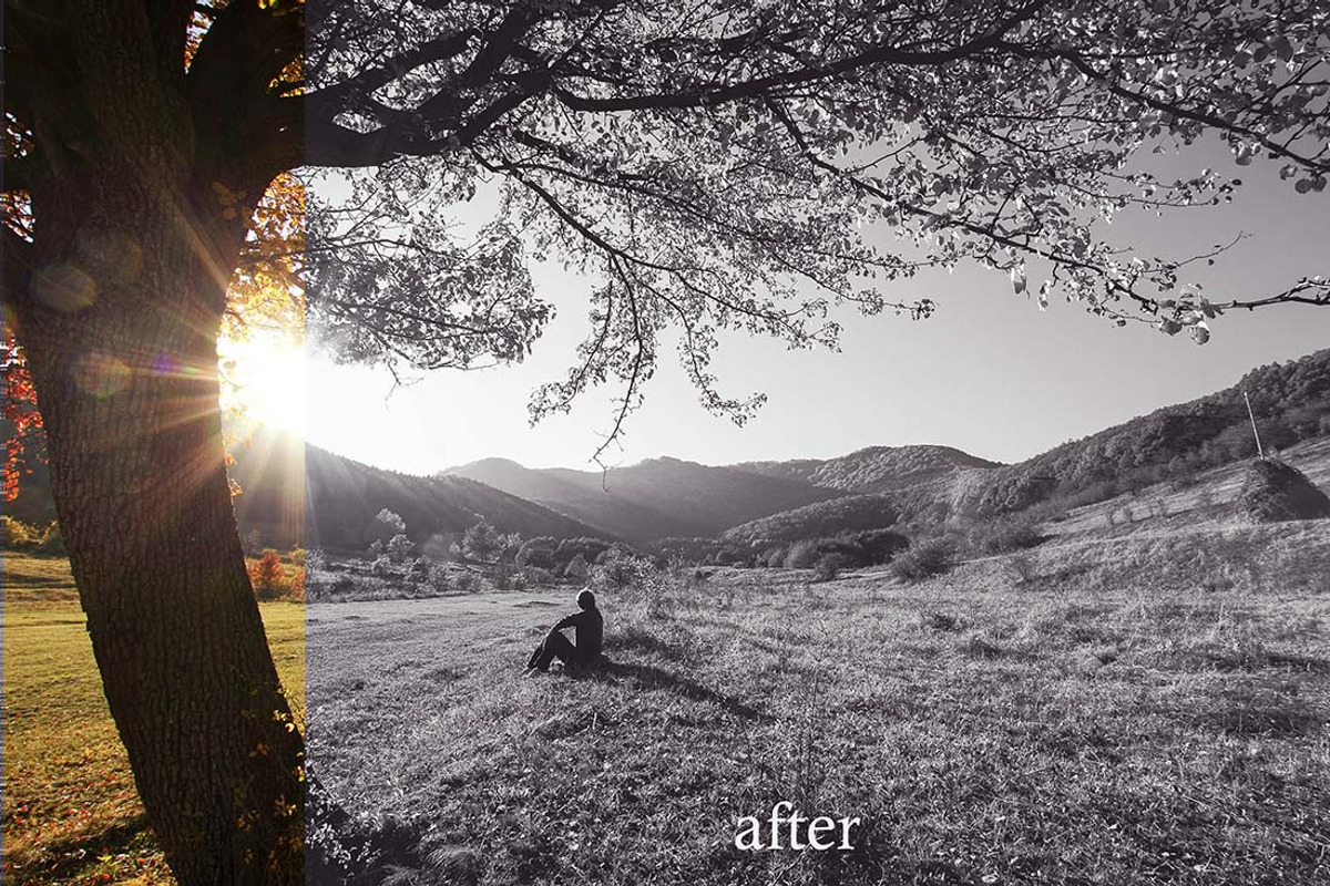10 Matte B & W Landscape Drama preview 3