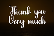 Sunday, a Handwritten Font by FreshTypeINK (Thumbnail 6 of 7)