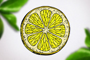 Lemons vector sketches, an Object Graphic by WalnutBird (Thumbnail 4 of 6)